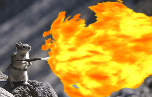 20230629_174702.gif