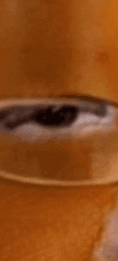 20230829_151047 (1).gif