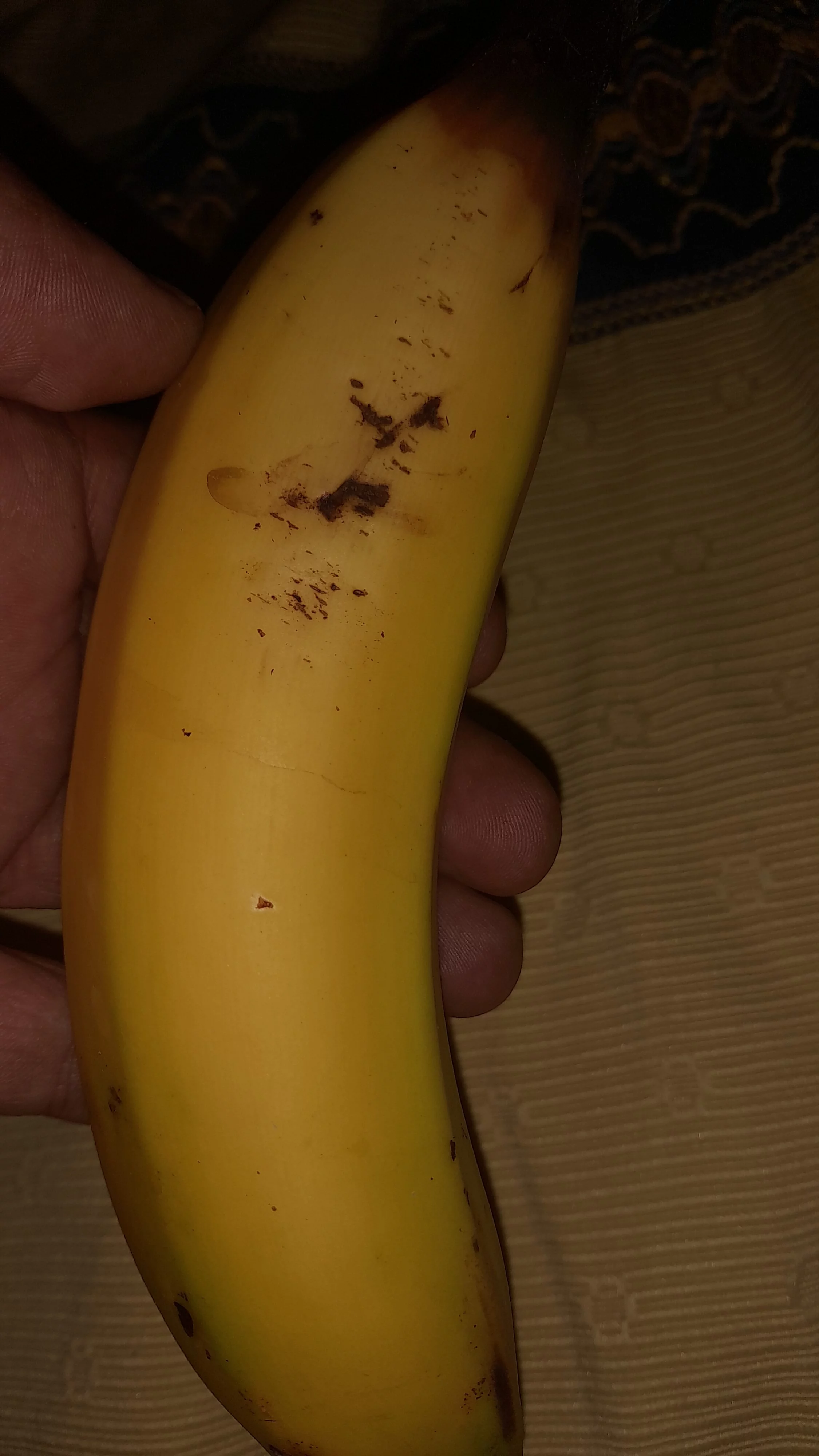 20230901_025531.jpg
