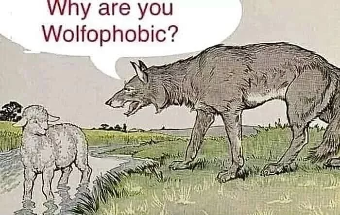 20240825_130045.webp