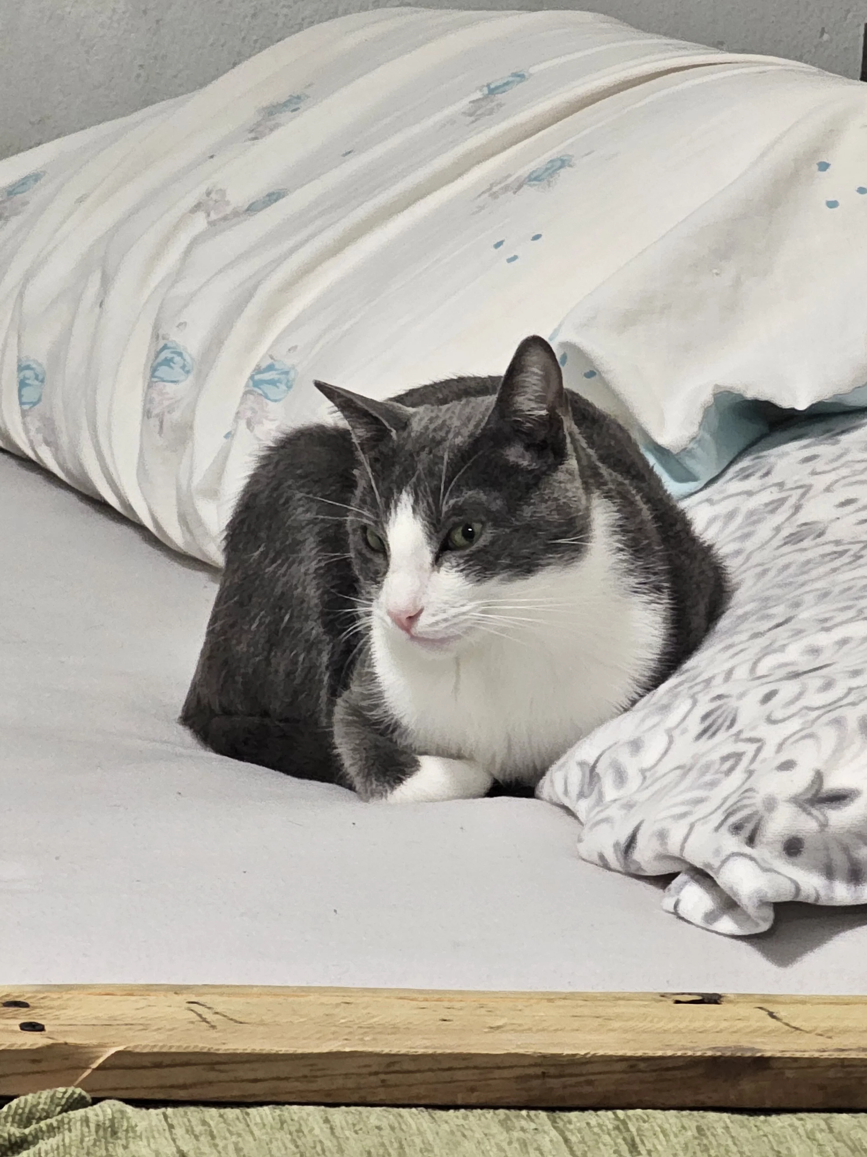 20241224_193443.webp