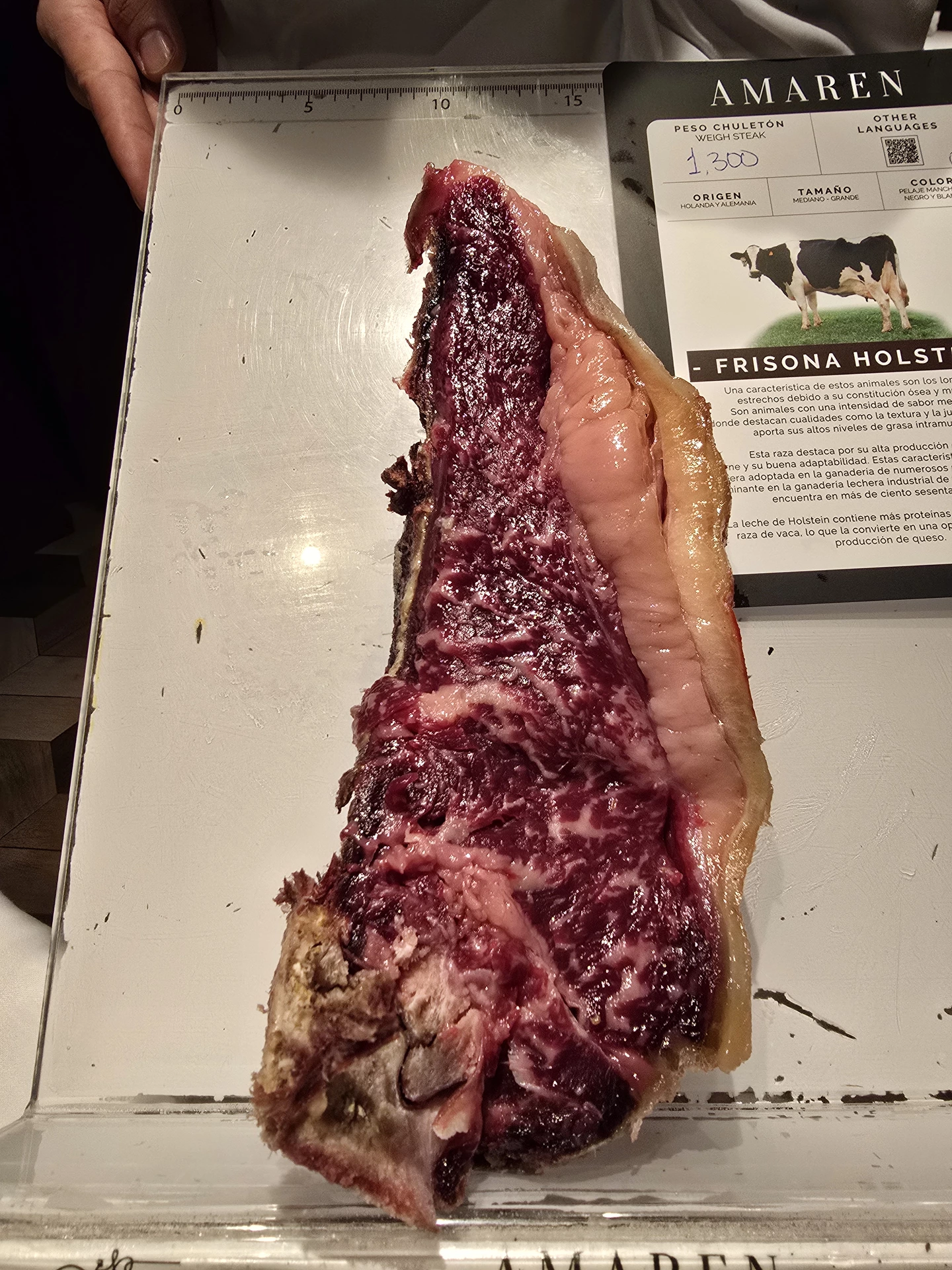 20260122_205329.webp