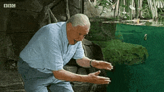 20335e6710a24fbc83fd348c6287bb0a.gif