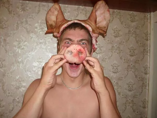 239.webp