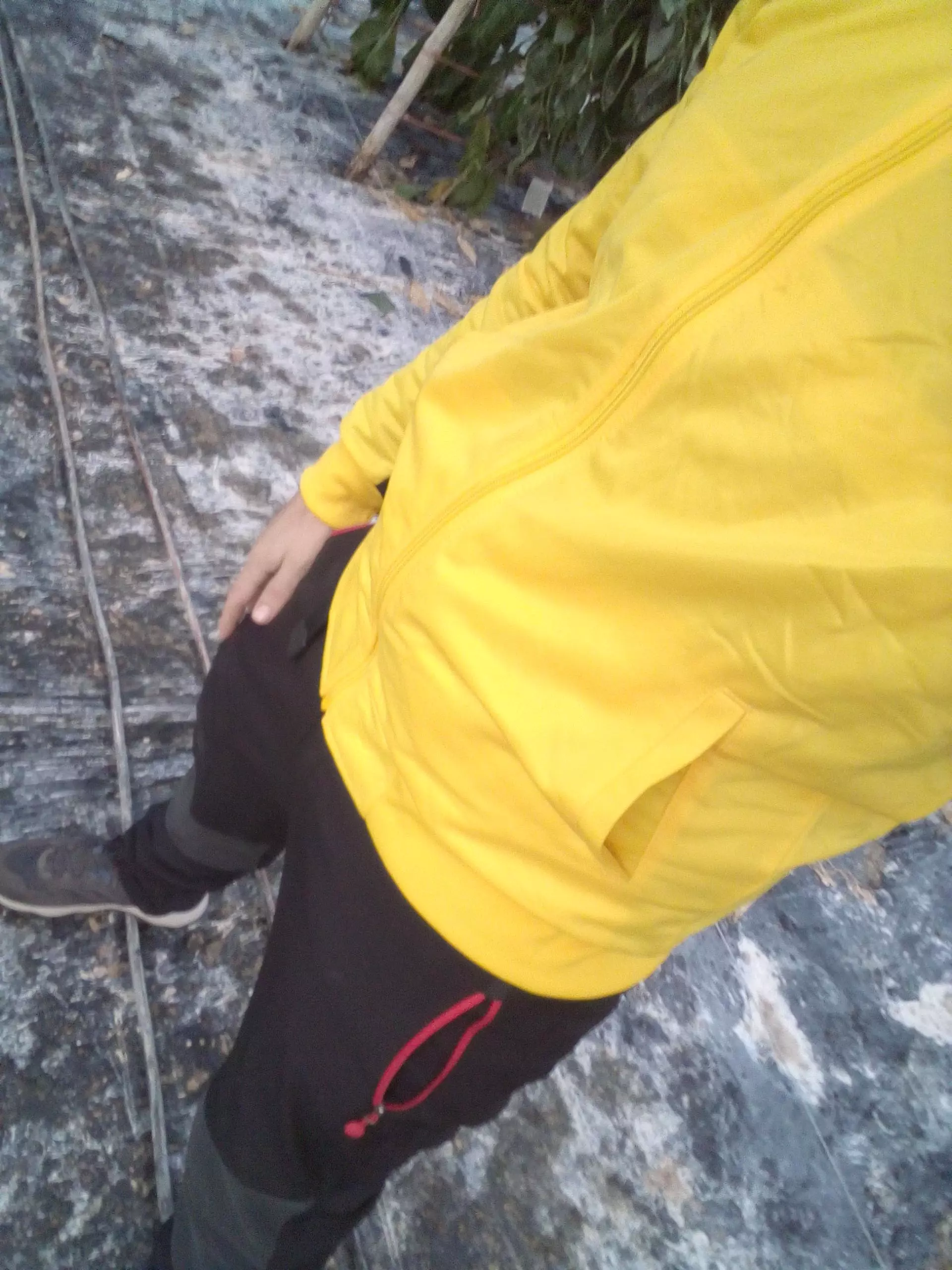 25690.webp