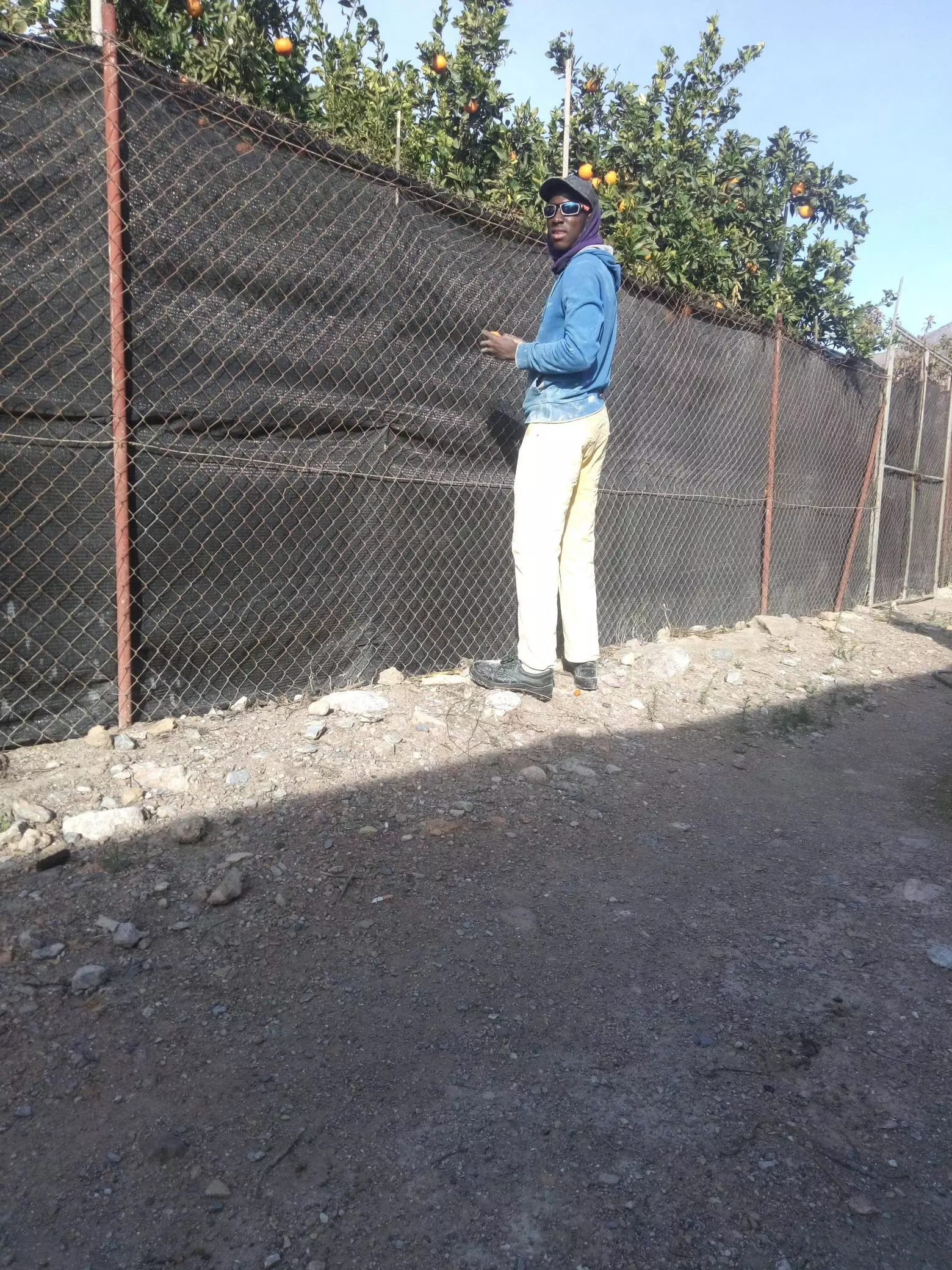 25757.webp