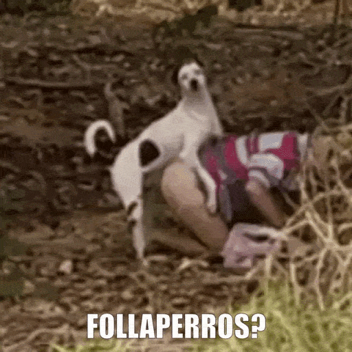 2604f137-9692-48ff-b3d9-ccbe075cb399-ezgif.com-optimize.gif