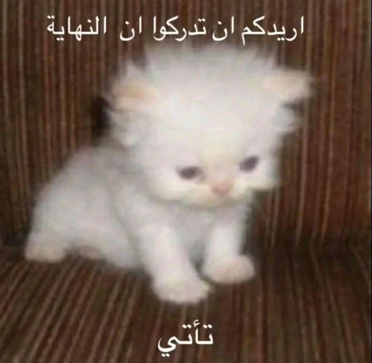 2f8a68a431ed71be52db7bc6a148d98a.webp