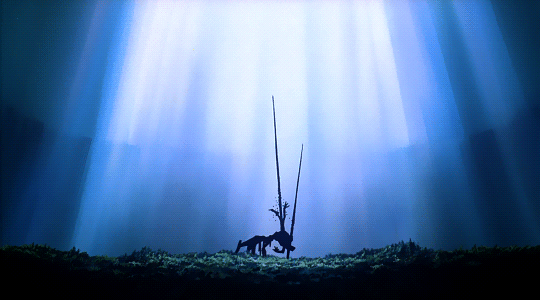 351F441B-8404-4CE5-99F2-AC904C0DC03A.gif