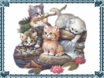 36VMTWBW4ZC6Q23Y2VIBWEVQTH6U5F6B.gif