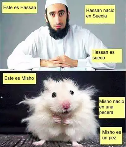 3c83d6cf21f15e328ce0e771fdbd10cceba36d305a59e0363845b6ecb8598618.webp