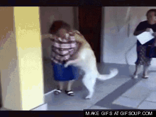3kfskzv.gif