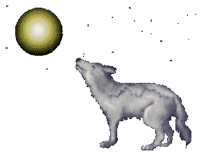 3WRYLHJADSFGXXK2LIX2E3EAVPRZ4WLQ.gif