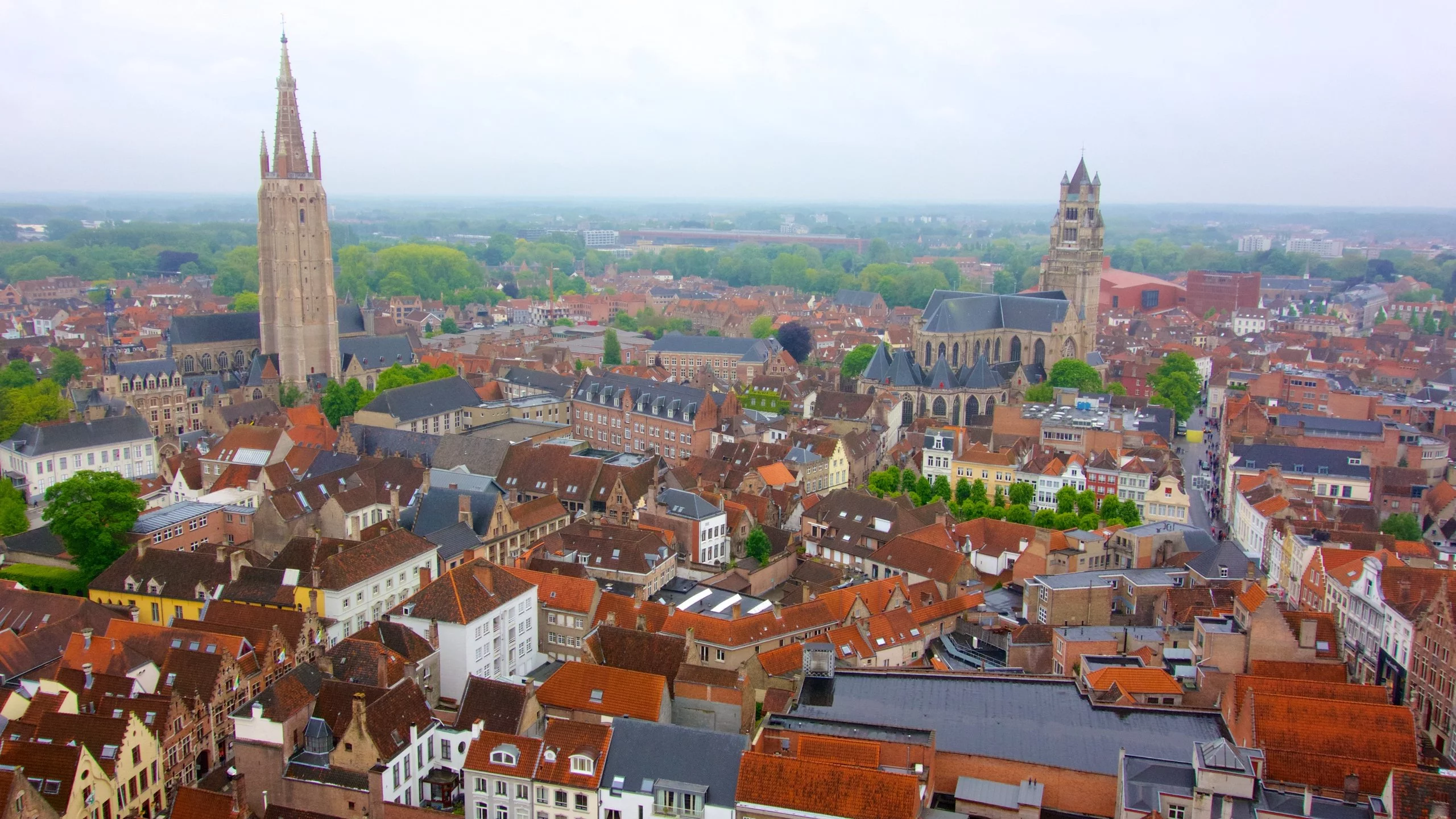 45391-Belfort.jpg
