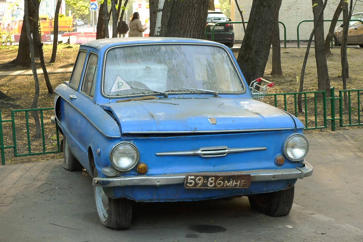 46021.webp