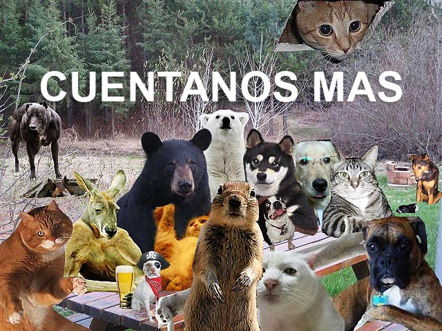 5107946cuentanos-mas.webp