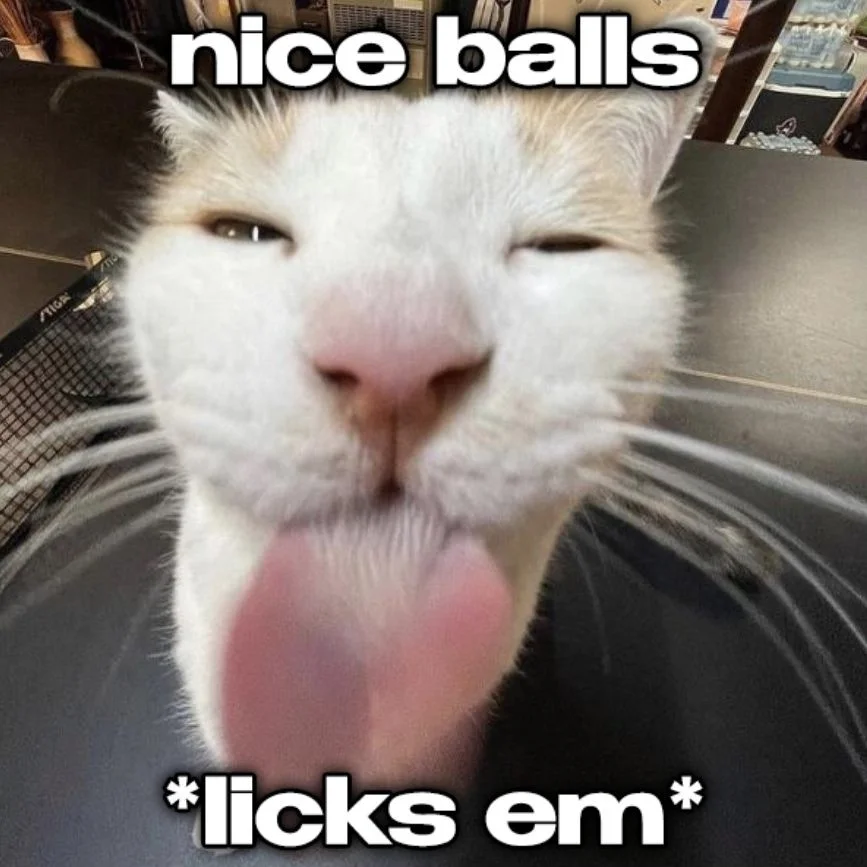 5187d9e2c2f3bd0a3236c6e573d416fd.webp