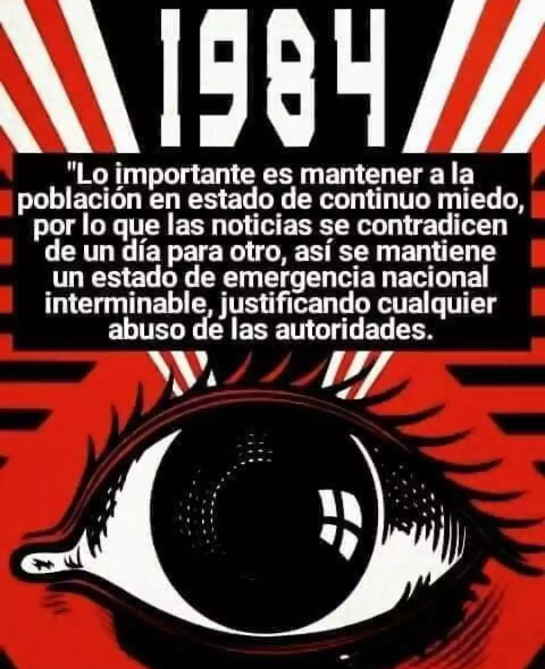 528d5791-c5ea-4bd1-850f-5fbdcd954082.webp