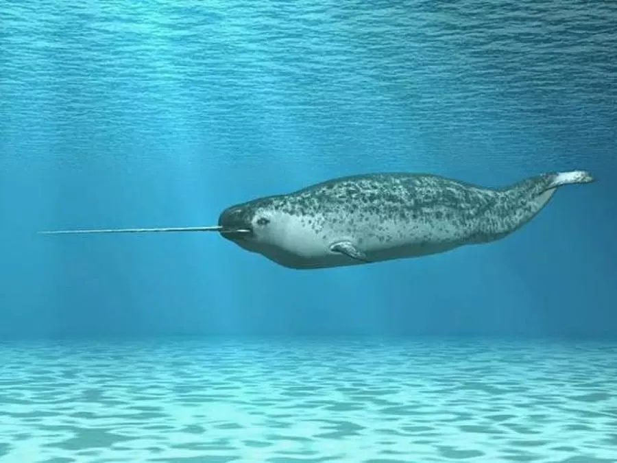 5fa3c56da5edb.webp