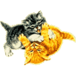 5L5HOK7NGKNIDIFFXW6LNPANAVWMJE6K.gif