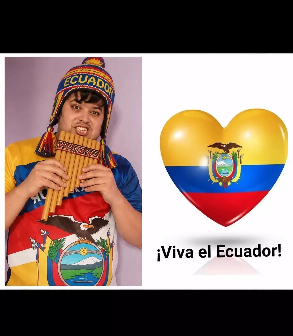 6468.webp
