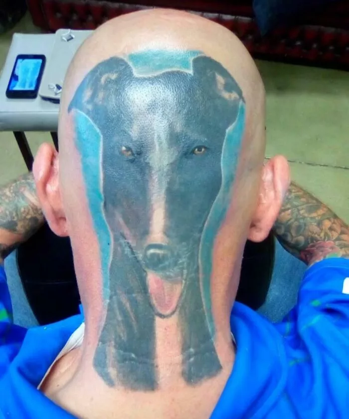 64ba77236ab02_funny-tattoo-fail-pics.webp