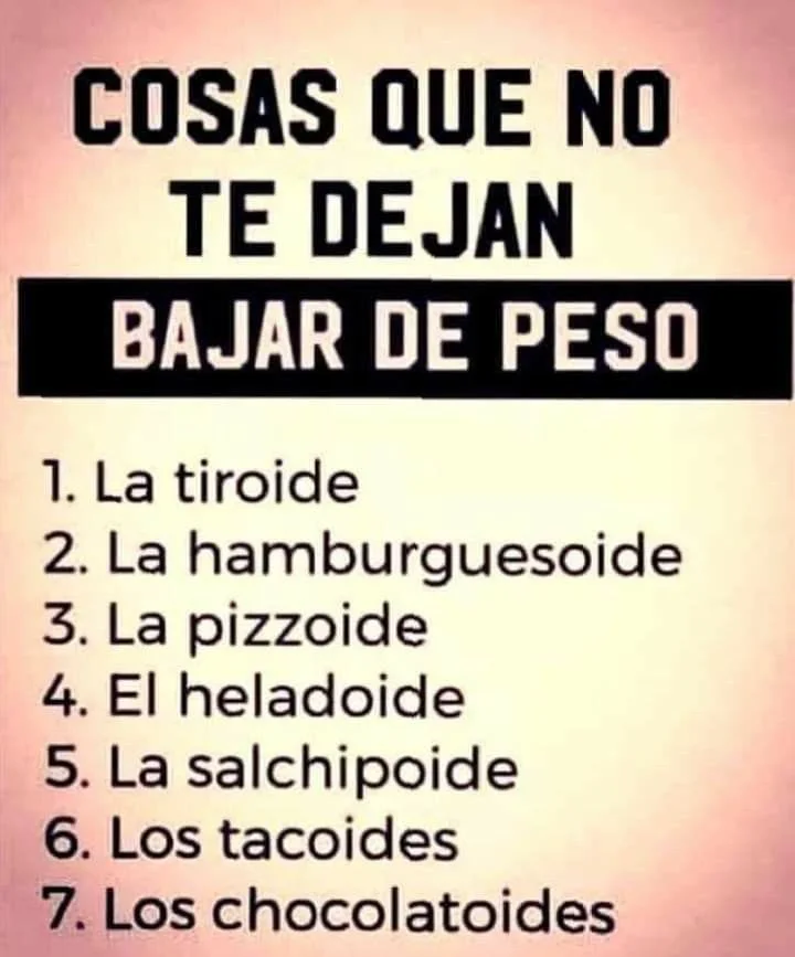 735371ade13e0003b5348996a130da0a.webp