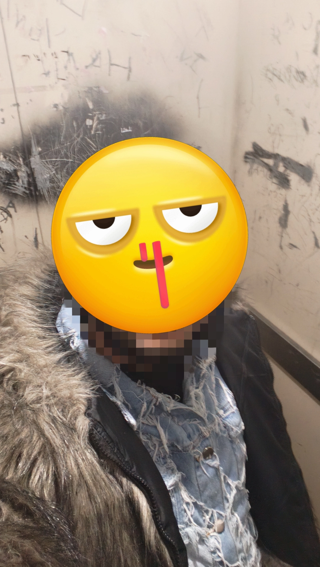 77800.webp