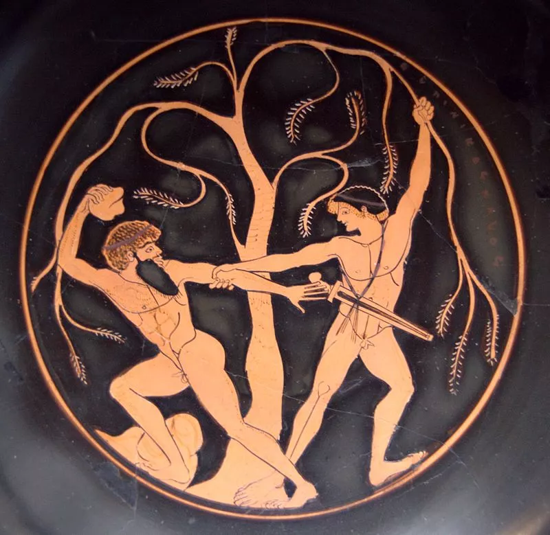 800px-Theseus_Sinis_Staatliche_Antikensammlungen_8771.webp