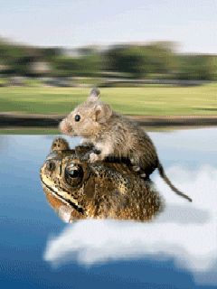 92d410de676e6cb19d67d2e85544360b.gif