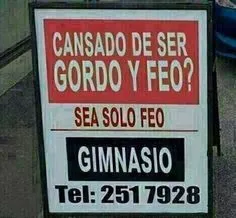 95d806020e118bbdb3dbd86d838cd705.webp