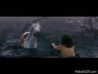 _GMTlb.gif