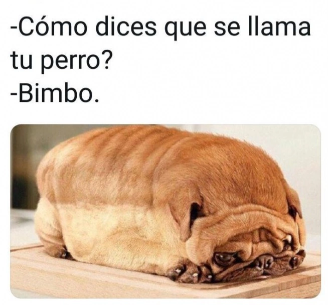 _meme_bd9a0219.webp