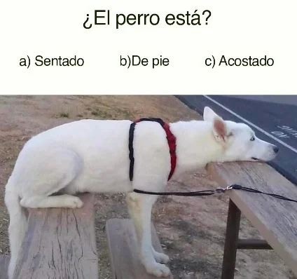 A0018.webp