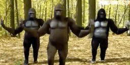 A97BE045-0780-440E-9193-84546D1AF303.gif