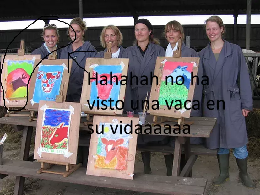 abrazar-vacas-como-terapia-antiestres_0.webp