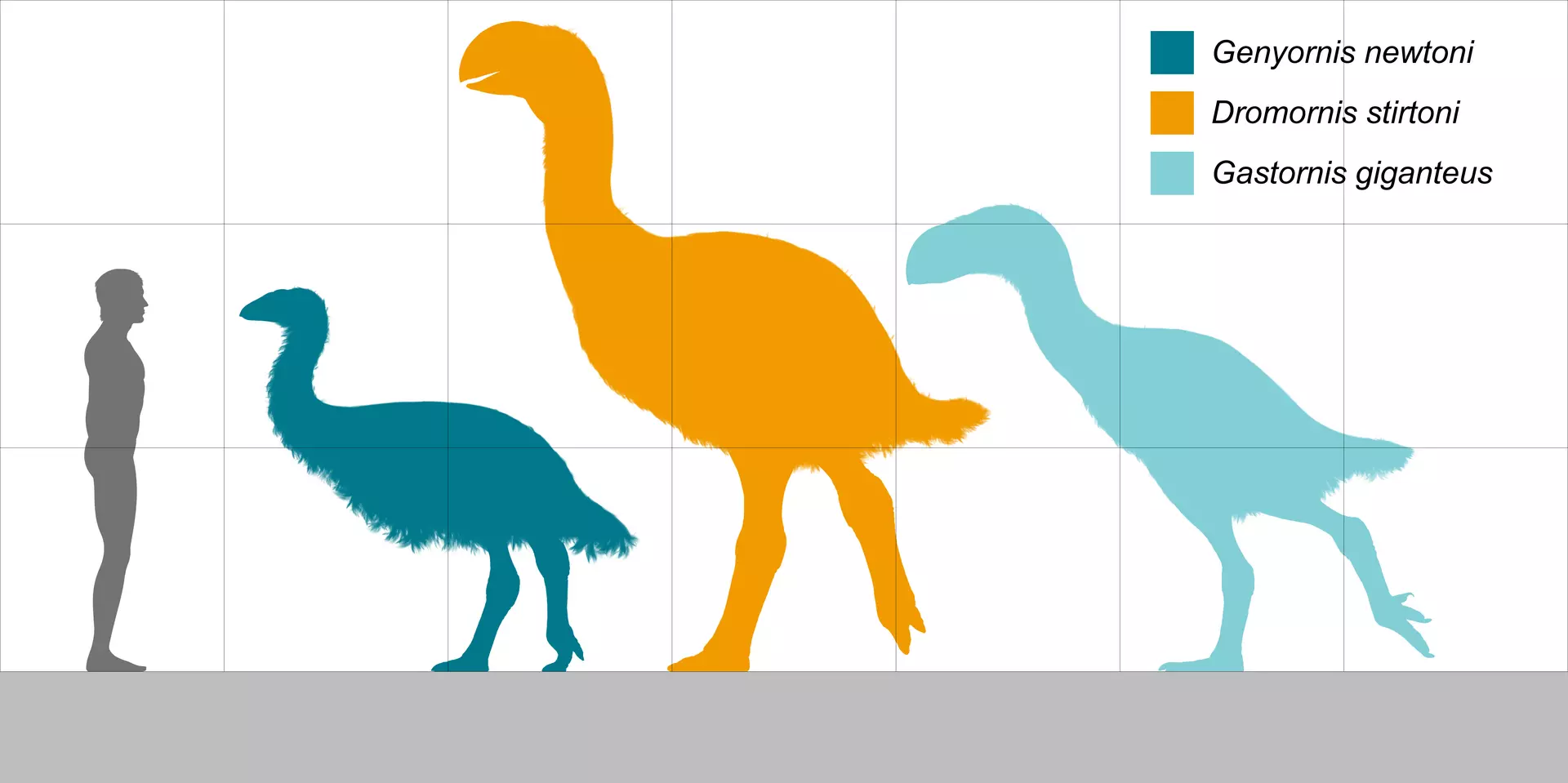 Anserimorphs_size_comparison.webp