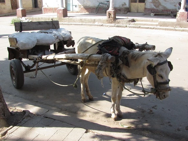 asmara-91225_640.webp