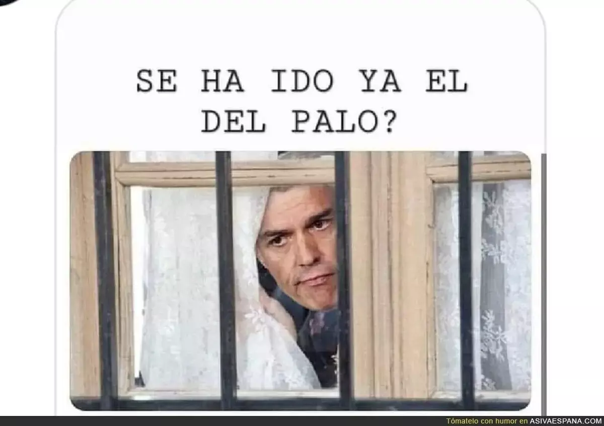 AVE_2038980_59c7efe326e0408c8f0495378a62fe1c_politica_esto_por_querer_aparentar_y_hacerse_la_...webp