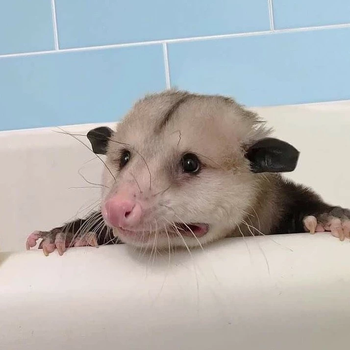 bath.webp