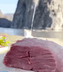 bistec.gif