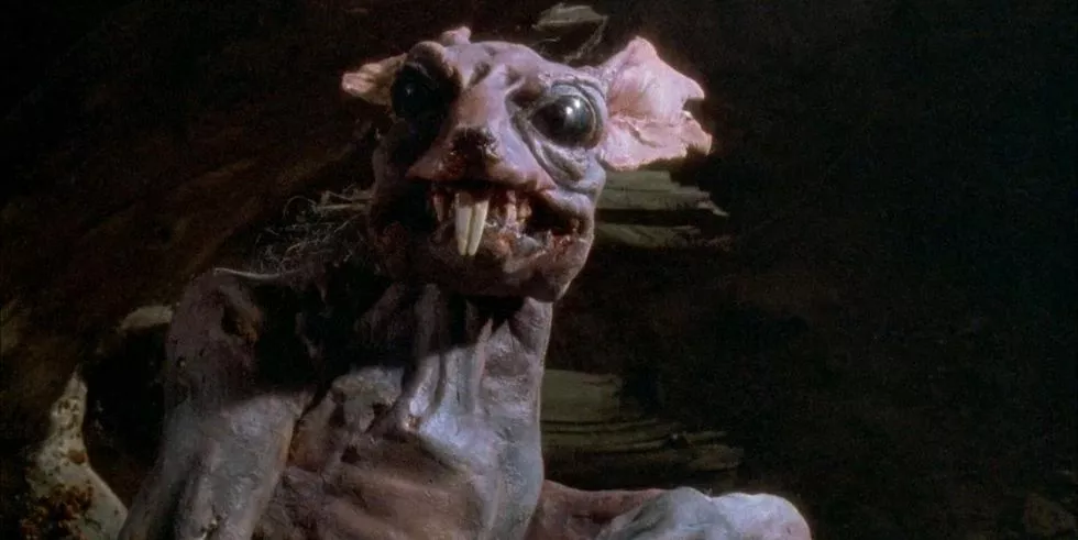 braindead-rata-skull-1544475572.webp