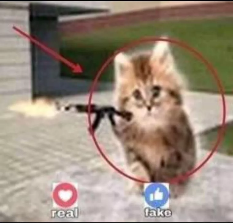 c32292c02927fe0078f8fce45187a0ff.webp
