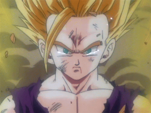 C3889BD3-9CA3-4B11-AA6B-C845B7CE1D96.gif