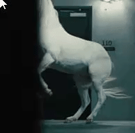 c61d3b01b9f7814431c985a570b7a829.gif