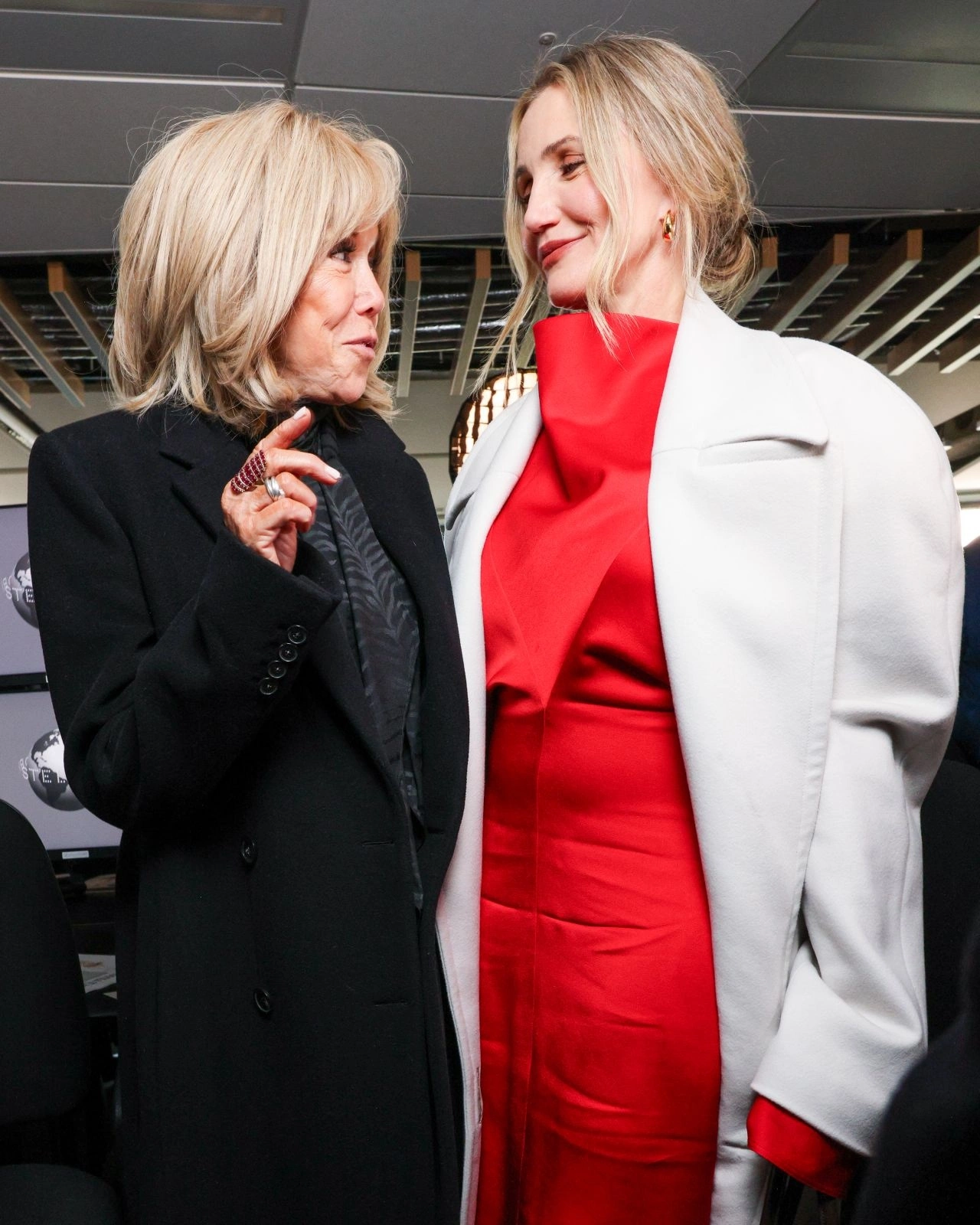 cameron-diaz-attends-stella-mccartney-winter-2025-show-in-paris-98943876752.webp