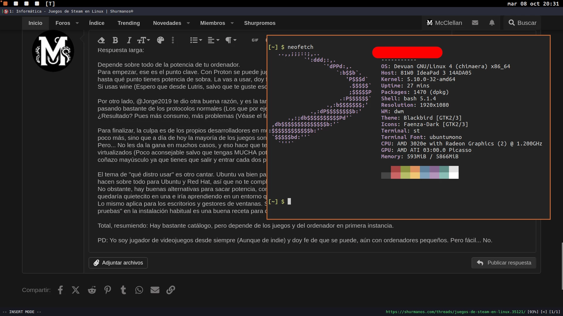 captura.webp