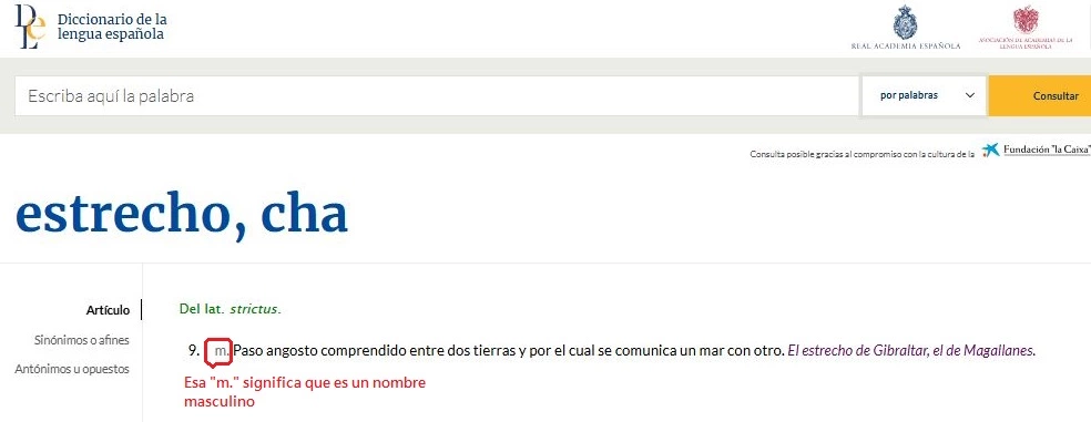 Captura.webp