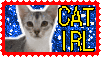 catirl.gif
