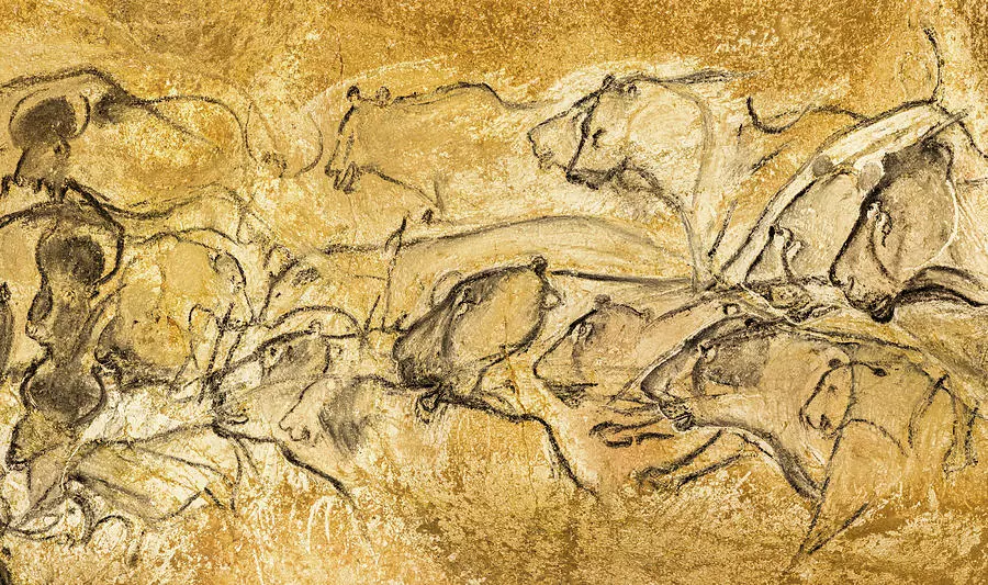 cave-lions-chauvet-cave.webp